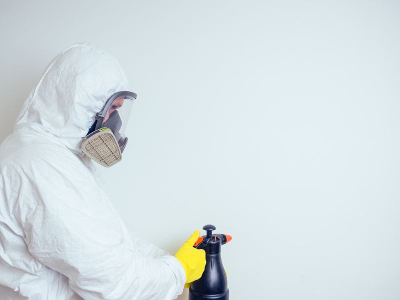 Disinfestazione scarafaggi