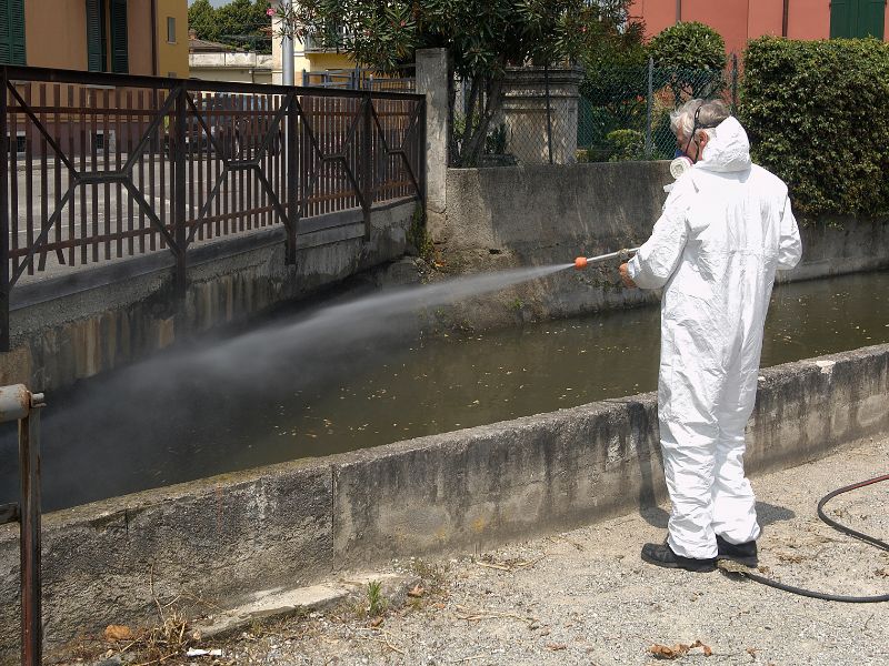Disinfestazione tarli