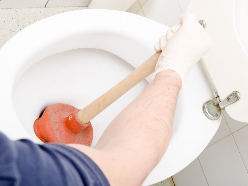 disotturazione wc